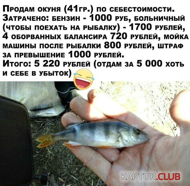 IMG-20200823-WA0000.jpg | Рено Каптур Клуб Россия | Форум KAPTUR.SU