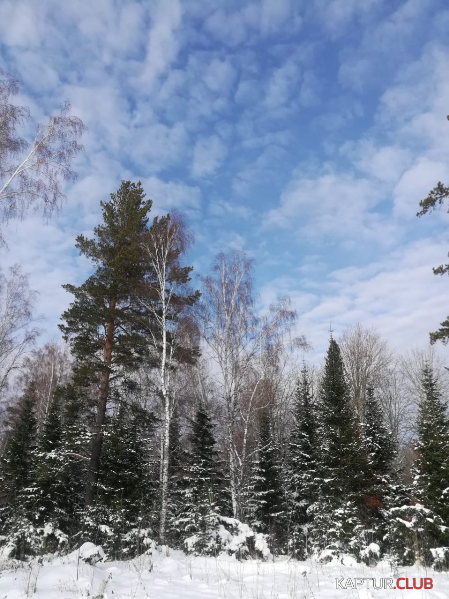 IMG-20201025-WA0010.jpg | Рено Каптур Клуб Россия | Форум KAPTUR.SU