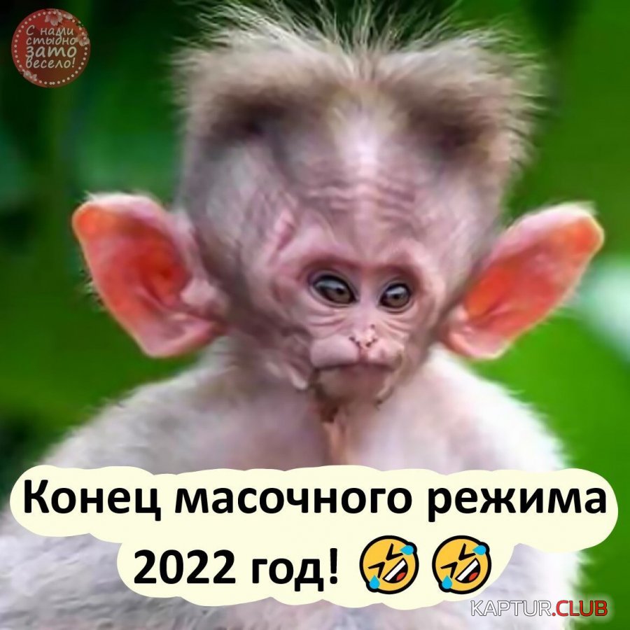 IMG-20201209-WA0001.jpg | Рено Каптур Клуб Россия | Форум KAPTUR.SU