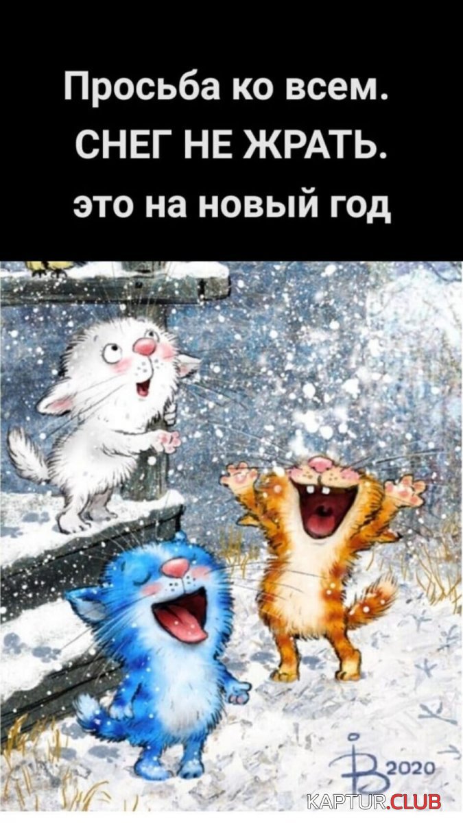 IMG-20201221-WA0000.jpg | Рено Каптур Клуб Россия | Форум KAPTUR.SU