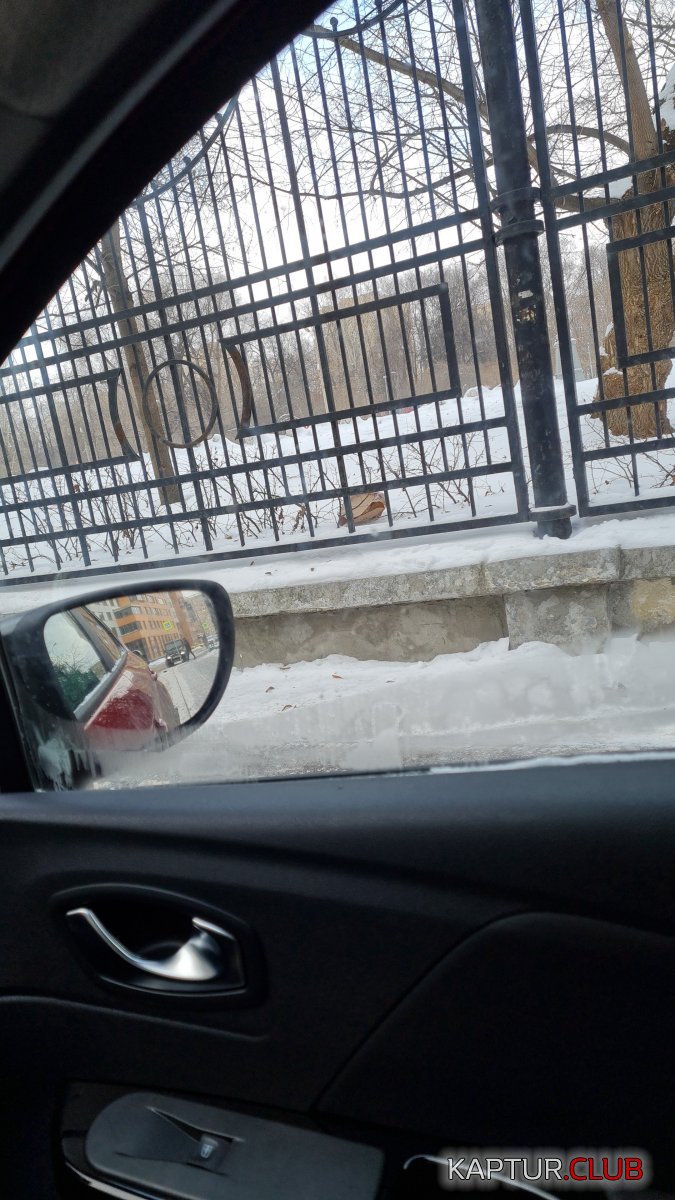 IMG-20210207-WA0001.jpeg | Рено Каптур Клуб Россия | Форум KAPTUR.SU