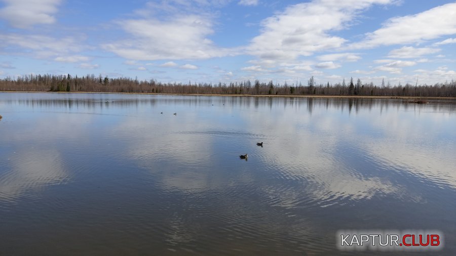 IMG-20210529-WA0006.jpeg | Рено Каптур Клуб Россия | Форум KAPTUR.SU