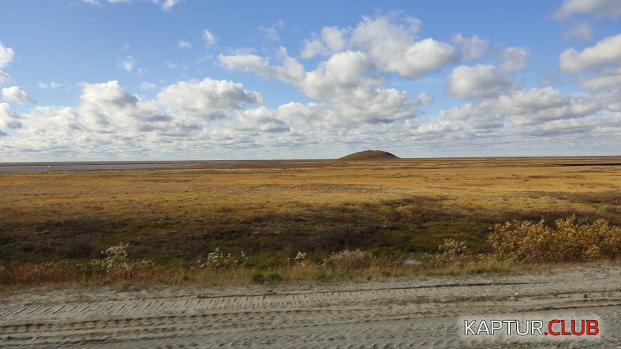 IMG-20210907-WA0012.jpeg | Рено Каптур Клуб Россия | Форум KAPTUR.SU