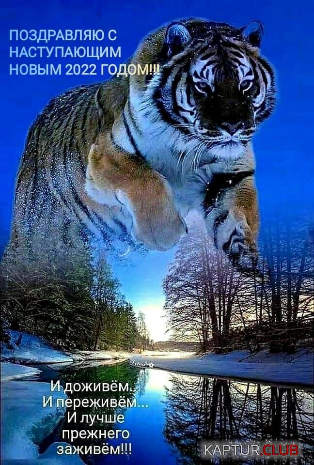 IMG-20211231-WA0006.jpg | Рено Каптур Клуб Россия | Форум KAPTUR.SU