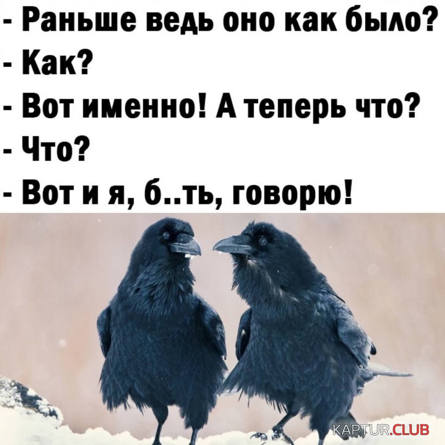 IMG-20220314-WA0010[1].jpg | Рено Каптур Клуб Россия | Форум KAPTUR.SU