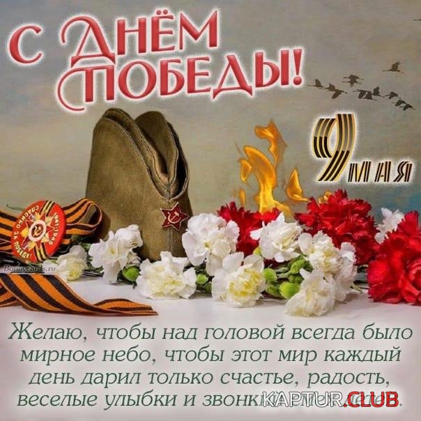 IMG-20220509-WA0001.jpg | Рено Каптур Клуб Россия | Форум KAPTUR.SU