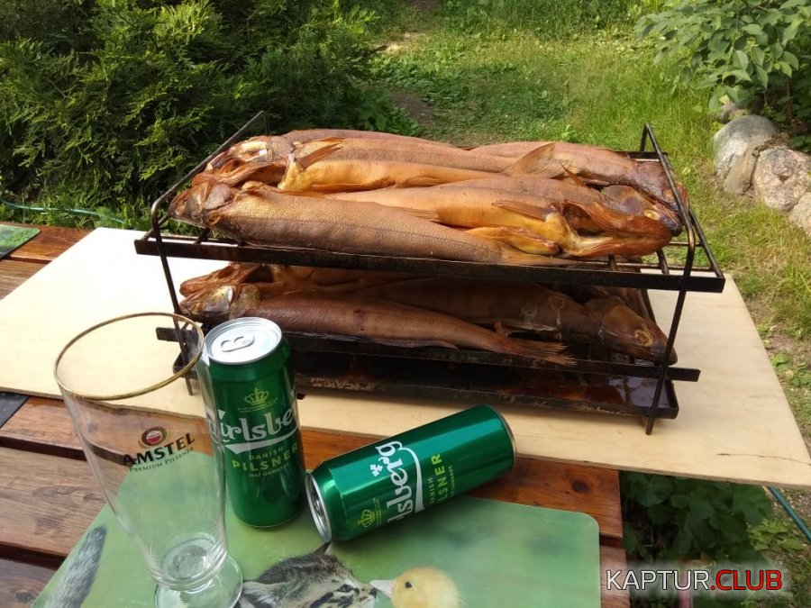IMG-20220723-WA0002.jpg | Рено Каптур Клуб Россия | Форум KAPTUR.SU
