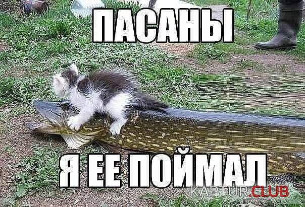 IMG-f389f559e8437779e80375cb80ad9422-V.jpg | Рено Каптур Клуб Россия | Форум KAPTUR.SU