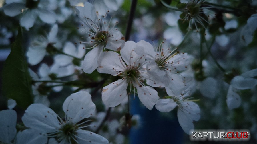 IMG20210517211653.jpg | Рено Каптур Клуб Россия | Форум KAPTUR.SU