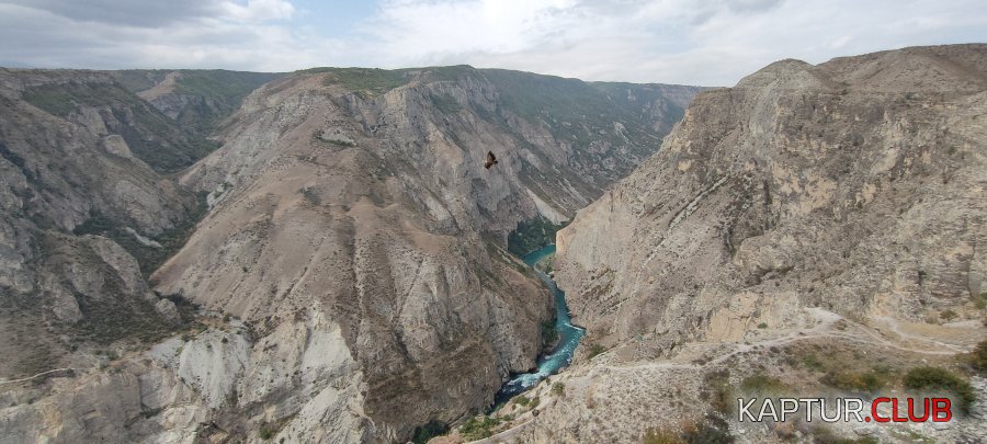 IMG20230906102640.jpg | Рено Каптур Клуб Россия | Форум KAPTUR.SU