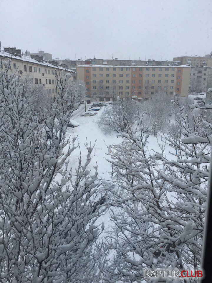 IMG_0031.JPG | Рено Каптур Клуб Россия | Форум KAPTUR.SU