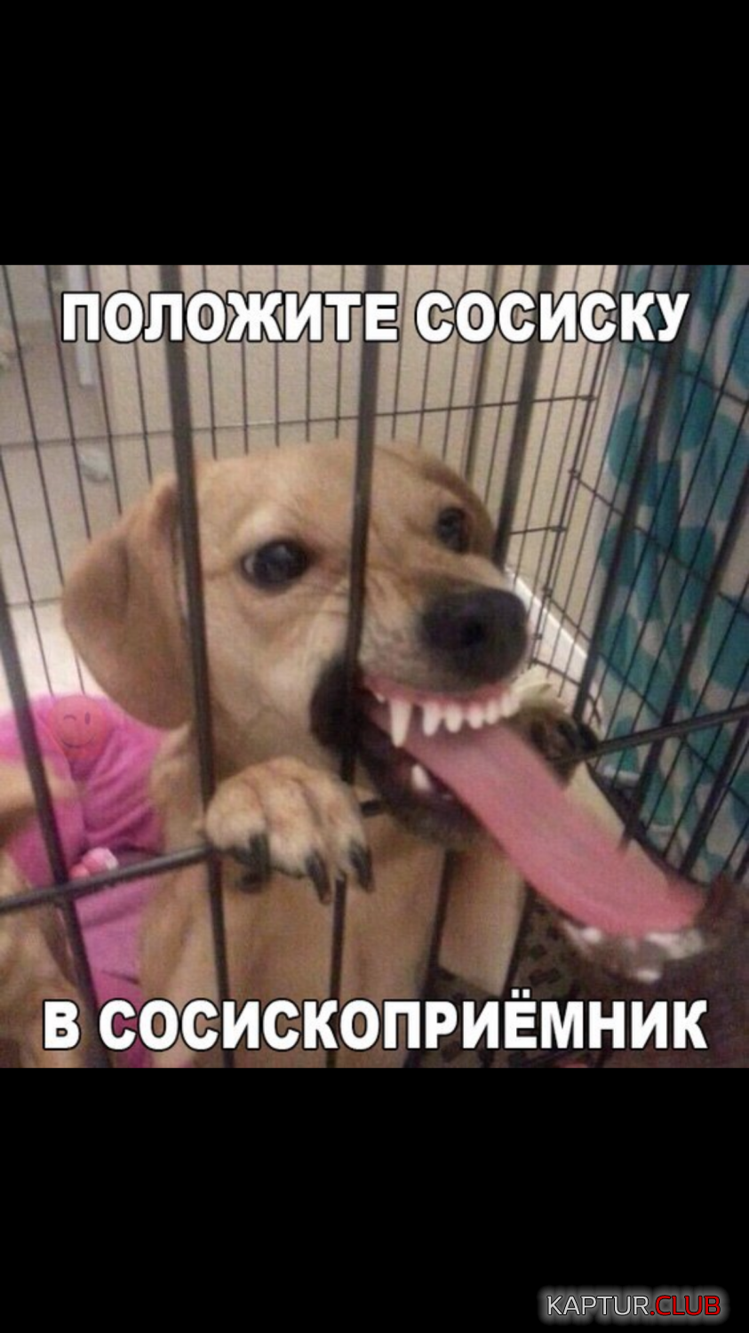 IMG_0623.PNG | Рено Каптур Клуб Россия | Форум KAPTUR.SU