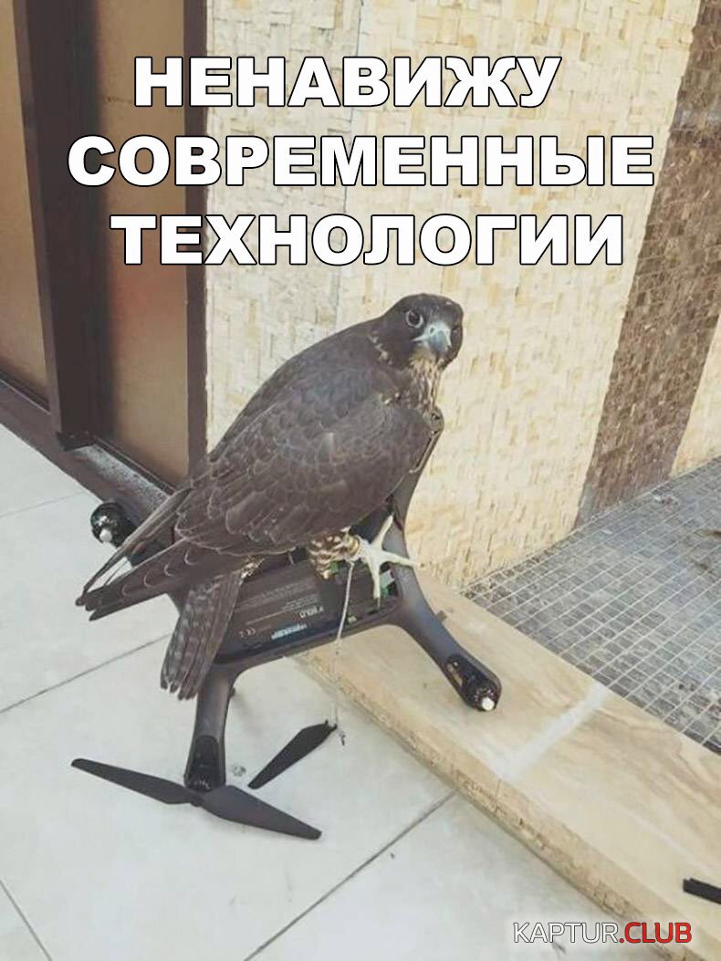 IMG_0625.JPG | Рено Каптур Клуб Россия | Форум KAPTUR.SU