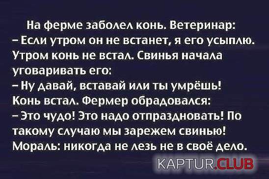 IMG_0648.JPG | Рено Каптур Клуб Россия | Форум KAPTUR.SU