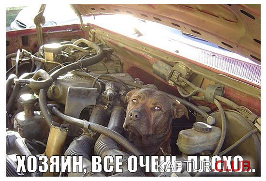 IMG_0671.JPG | Рено Каптур Клуб Россия | Форум KAPTUR.SU
