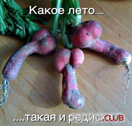 IMG_0698.JPG | Рено Каптур Клуб Россия | Форум KAPTUR.SU