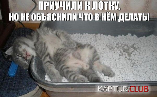 IMG_0722.JPG | Рено Каптур Клуб Россия | Форум KAPTUR.SU