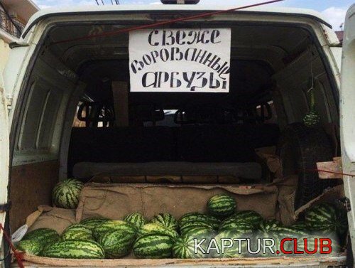 IMG_0894.JPG | Рено Каптур Клуб Россия | Форум KAPTUR.SU
