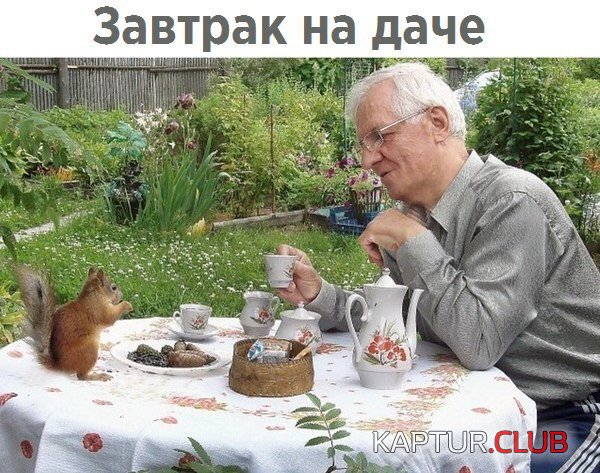 IMG_0938.JPG | Рено Каптур Клуб Россия | Форум KAPTUR.SU