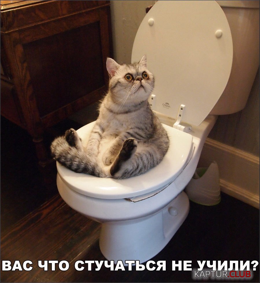 IMG_0951.JPG | Рено Каптур Клуб Россия | Форум KAPTUR.SU