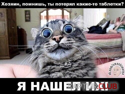 IMG_1370.JPG | Рено Каптур Клуб Россия | Форум KAPTUR.SU
