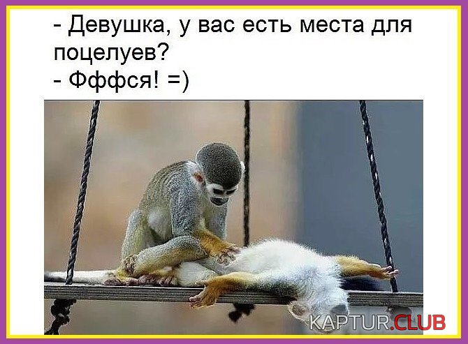 IMG_1728.JPG | Рено Каптур Клуб Россия | Форум KAPTUR.SU