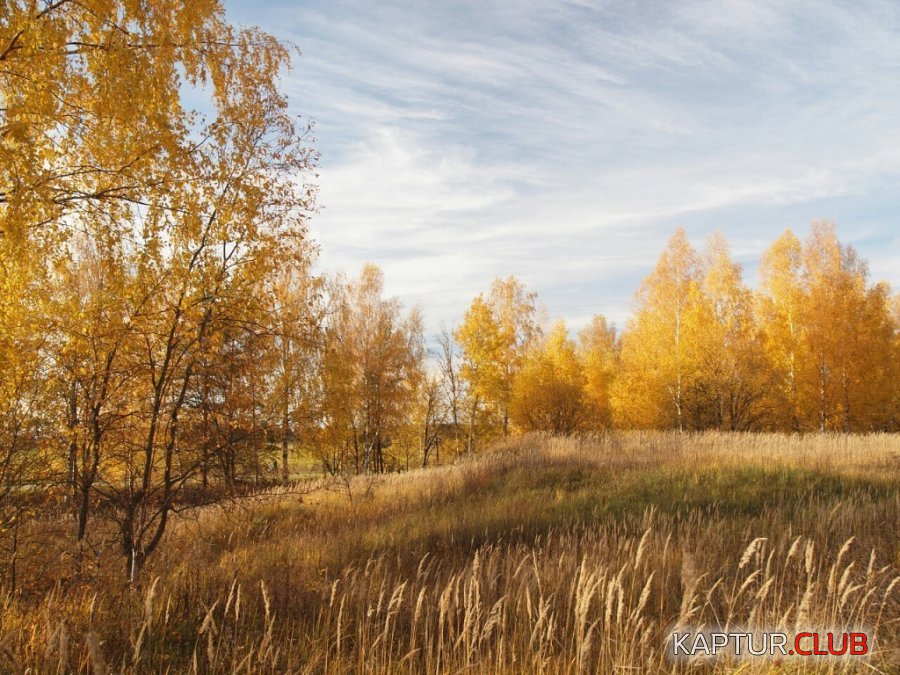 IMG_20161030_165410_4.jpg | Рено Каптур Клуб Россия | Форум KAPTUR.SU