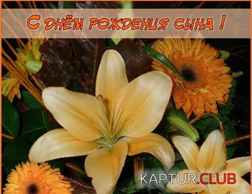 IMG_20170617_114433.jpg | Рено Каптур Клуб Россия | Форум KAPTUR.SU