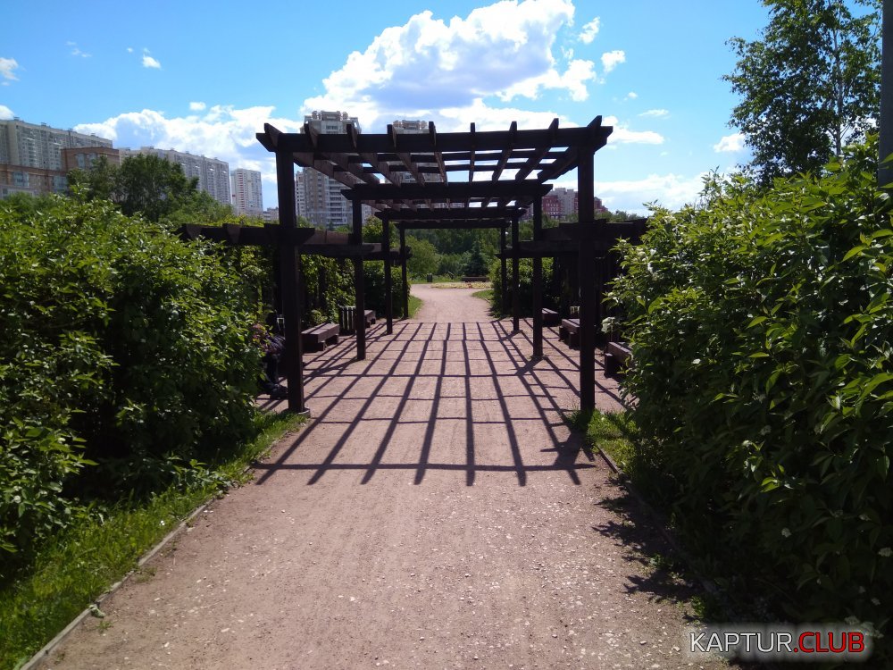IMG_20170618_124528.jpg | Рено Каптур Клуб Россия | Форум KAPTUR.SU