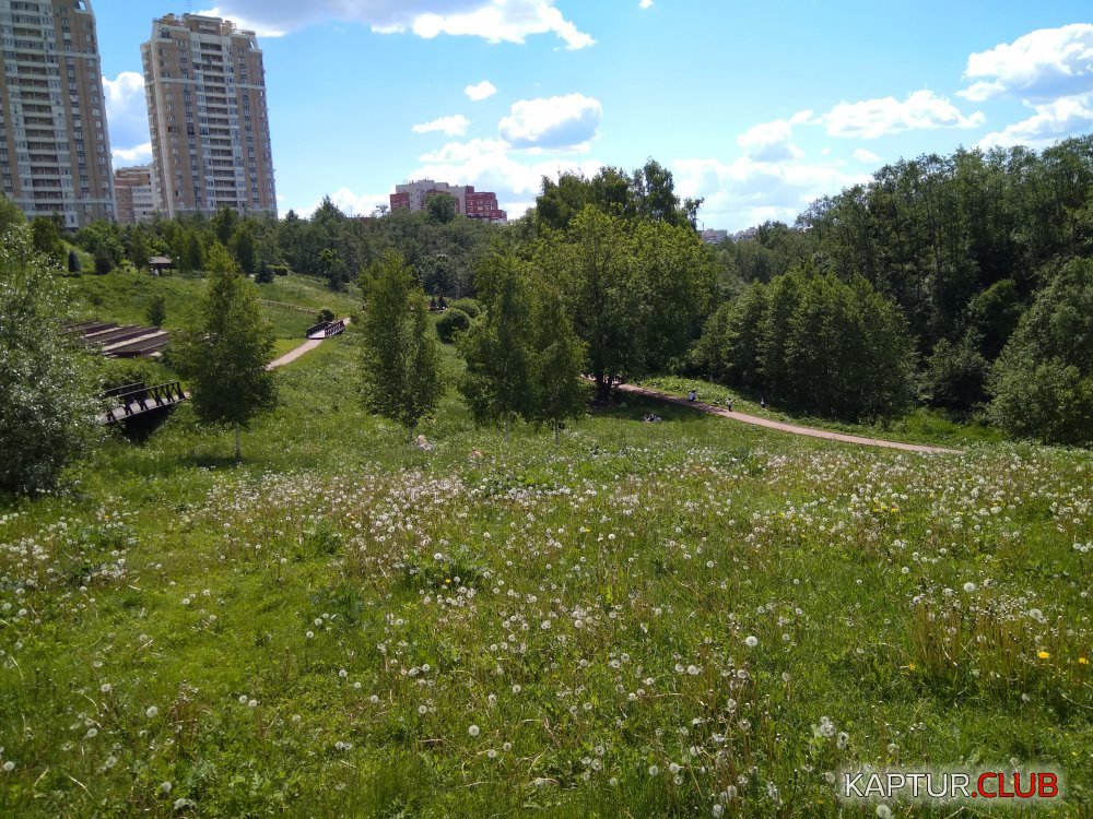 IMG_20170618_130406.jpg | Рено Каптур Клуб Россия | Форум KAPTUR.SU