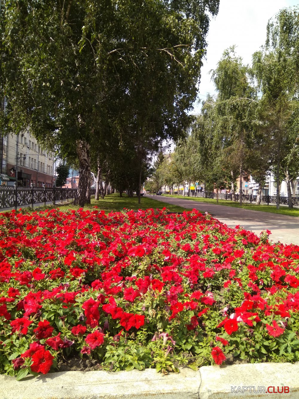 IMG_20170722_121140.jpg | Рено Каптур Клуб Россия | Форум KAPTUR.SU