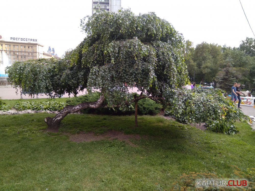 IMG_20170722_124802.jpg | Рено Каптур Клуб Россия | Форум KAPTUR.SU