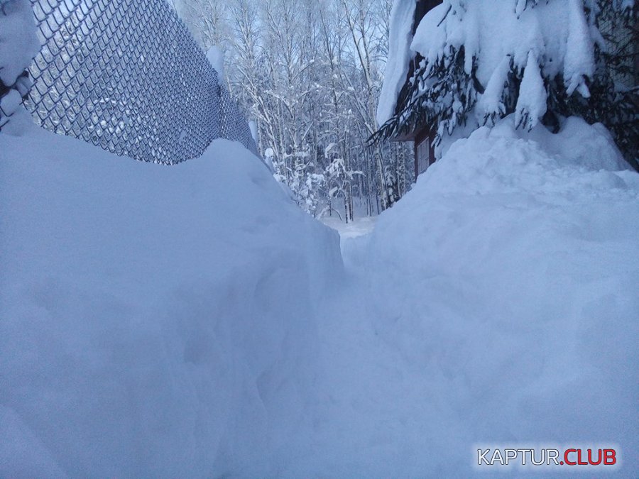 IMG_20190119_165244.jpg | Рено Каптур Клуб Россия | Форум KAPTUR.SU