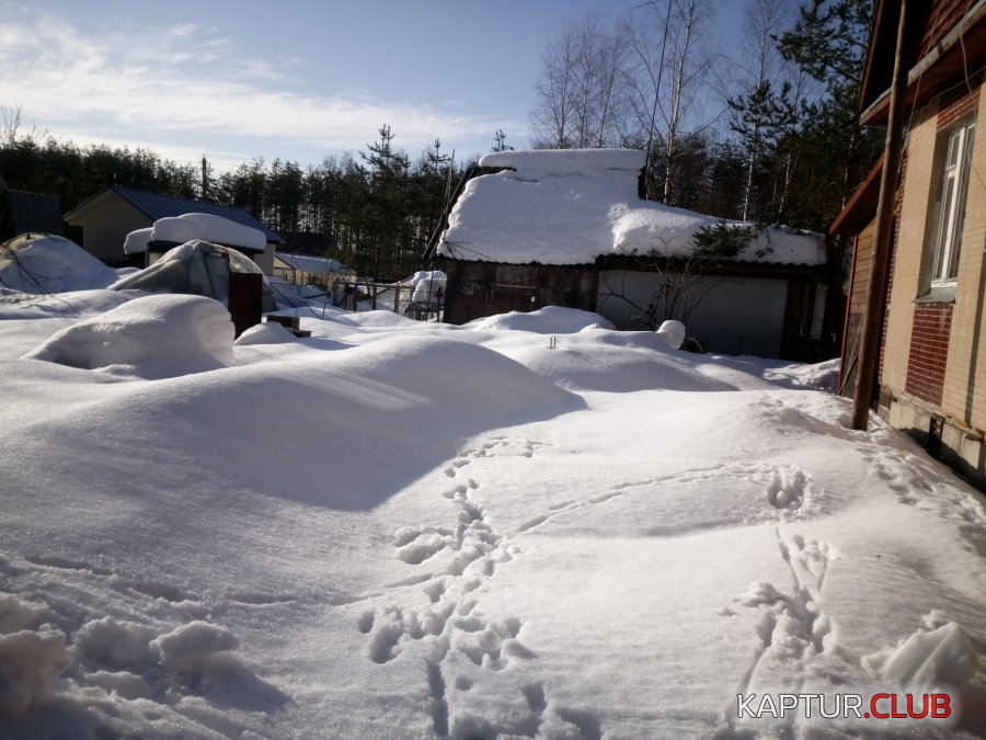 IMG_20190216_142719.jpg | Рено Каптур Клуб Россия | Форум KAPTUR.SU