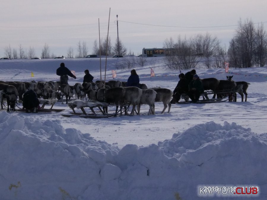 IMG_20190316_112833.jpg | Рено Каптур Клуб Россия | Форум KAPTUR.SU