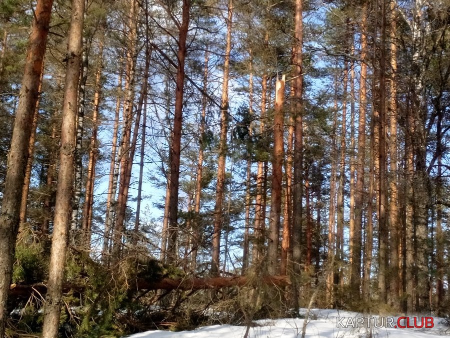 IMG_20190414_181743.jpg | Рено Каптур Клуб Россия | Форум KAPTUR.SU