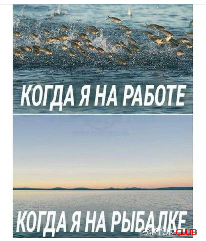 IMG_20190424_222332.png | Рено Каптур Клуб Россия | Форум KAPTUR.SU