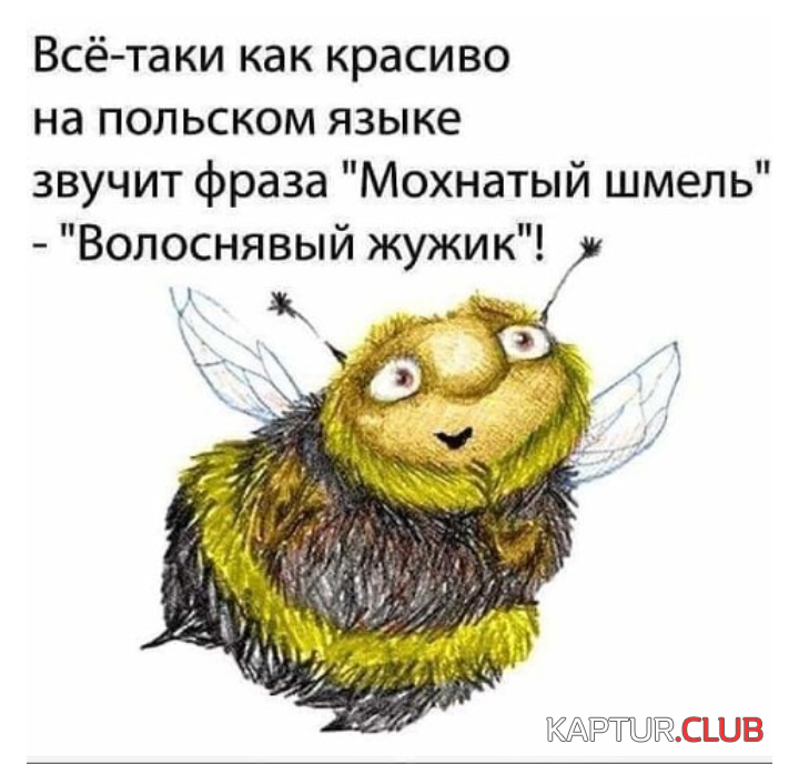 IMG_20190507_200624.png | Рено Каптур Клуб Россия | Форум KAPTUR.SU