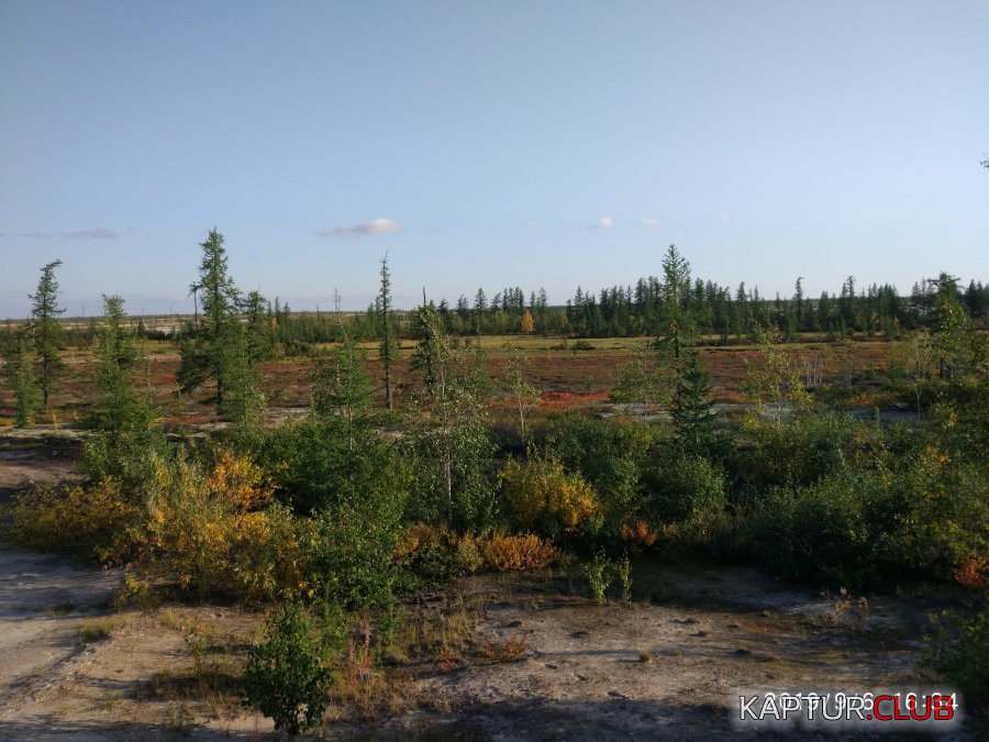 IMG_20190906_163453.jpg | Рено Каптур Клуб Россия | Форум KAPTUR.SU