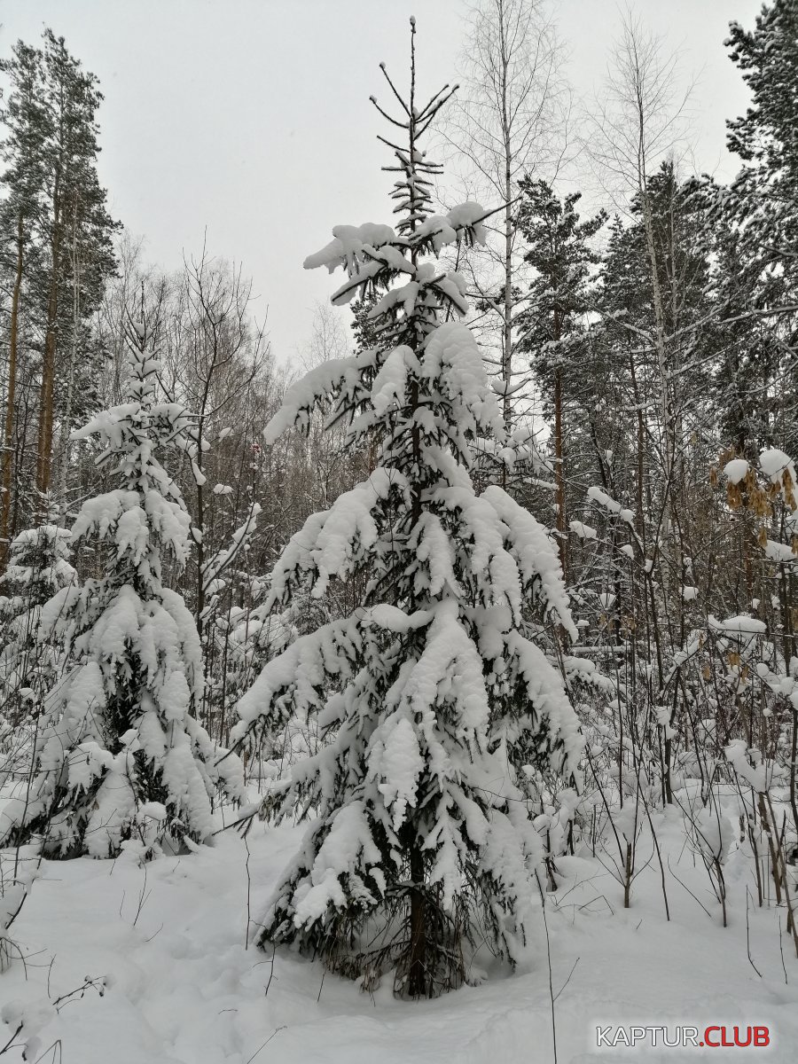 IMG_20191217_153931.jpg | Рено Каптур Клуб Россия | Форум KAPTUR.SU