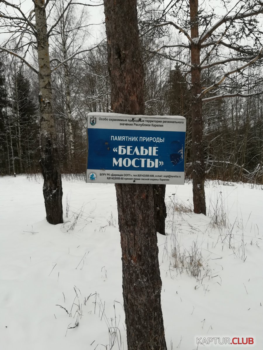 IMG_20200130_103821.jpg | Рено Каптур Клуб Россия | Форум KAPTUR.SU