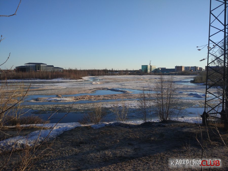 IMG_20200509_190726.jpg | Рено Каптур Клуб Россия | Форум KAPTUR.SU