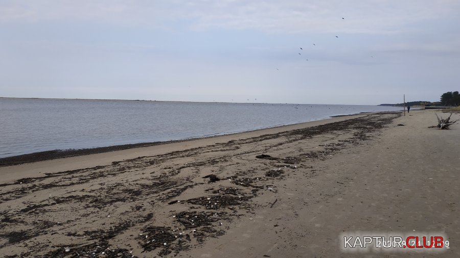 IMG_20200924_120916.jpg | Рено Каптур Клуб Россия | Форум KAPTUR.SU