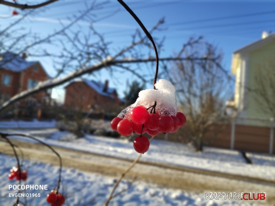 IMG_20201206_114639.jpg | Рено Каптур Клуб Россия | Форум KAPTUR.SU