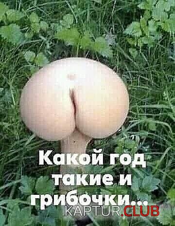 IMG_20210531_173048_715.jpg | Рено Каптур Клуб Россия | Форум KAPTUR.SU