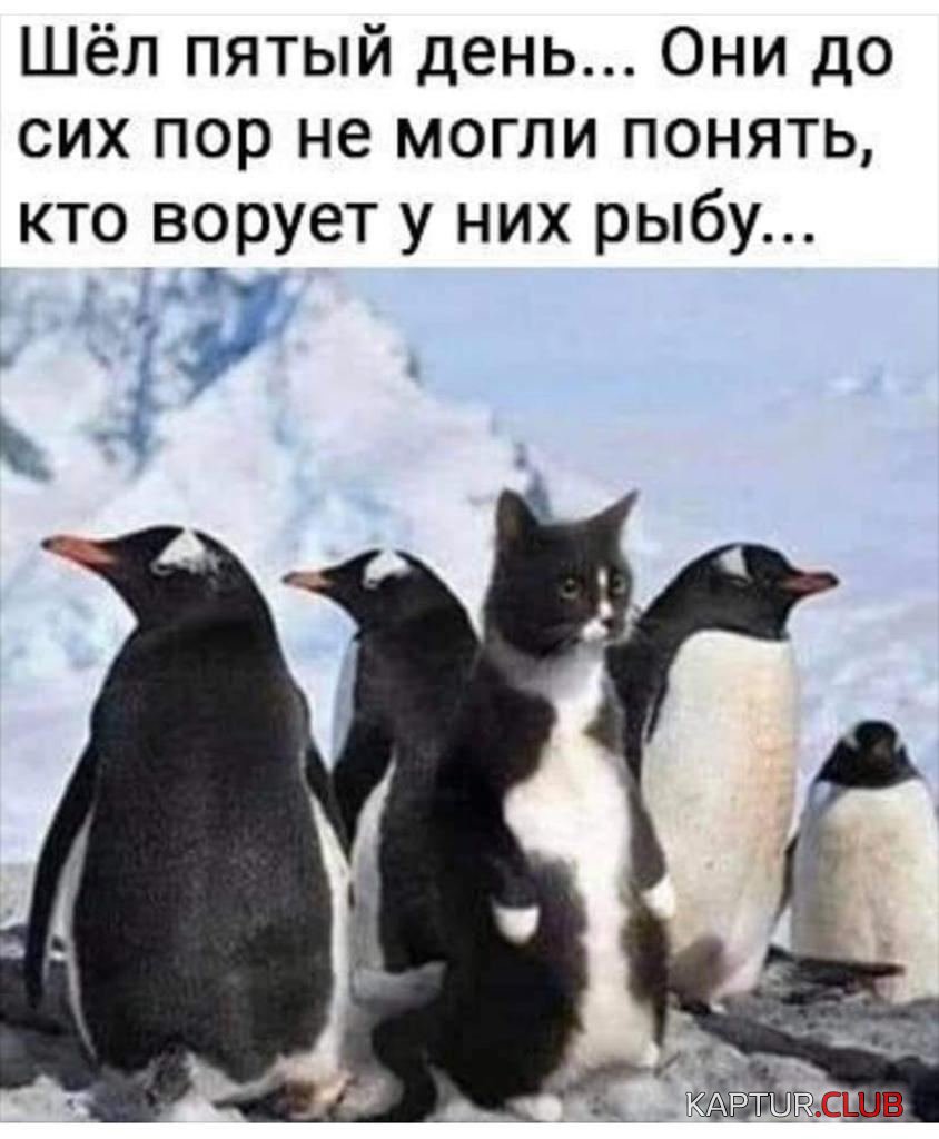 IMG_20210531_173945_024.jpg | Рено Каптур Клуб Россия | Форум KAPTUR.SU