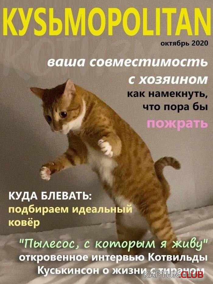 IMG_20210531_174154_377.jpg | Рено Каптур Клуб Россия | Форум KAPTUR.SU