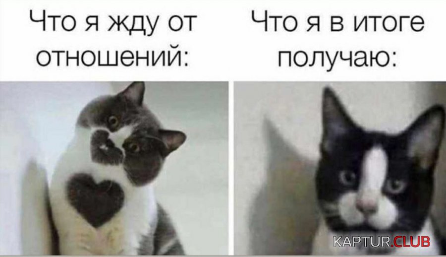 IMG_20210531_174230_215.jpg | Рено Каптур Клуб Россия | Форум KAPTUR.SU