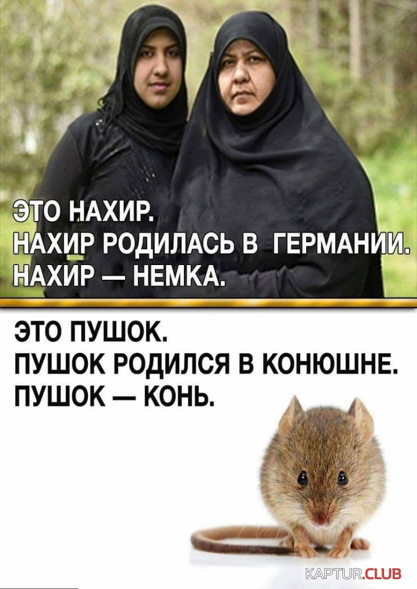 IMG_20210531_174605_301.jpg | Рено Каптур Клуб Россия | Форум KAPTUR.SU