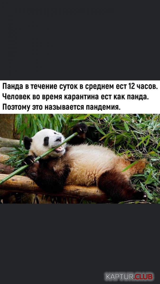 IMG_20210531_181429_592.jpg | Рено Каптур Клуб Россия | Форум KAPTUR.SU